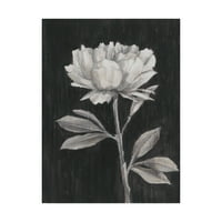 A „Fekete -fehér virágok III” Vászon művészete védjegye Ethan Harper vászonművészete