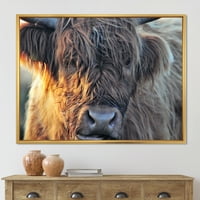 Designart „A skót tehén bezárása a Moorland III -n” Farmház keretes vászon fali nyomtatás