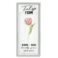 Stupell Industries Tulip Farm Pink Country Virágos Helyileg termesztett virágok grafikus művészet szürke keretes művészeti