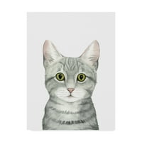 Védjegy Képzőművészet 'Cat Portré III' vászon művészete Grace Popp